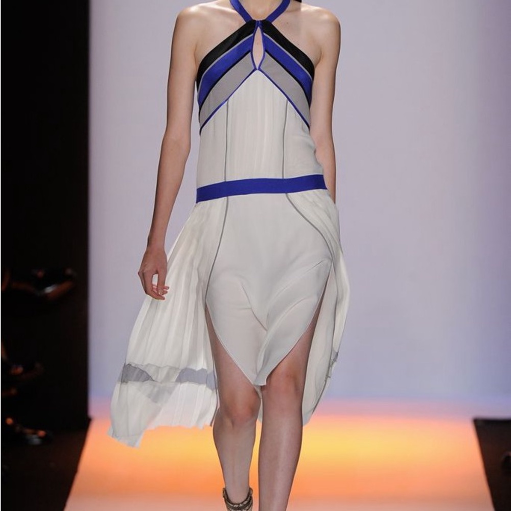 BCBG voletta runway dress